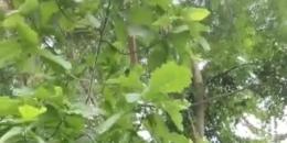 Foto de la Propiedad