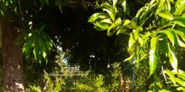 Foto de la Propiedad