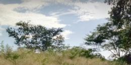 Foto de la Propiedad