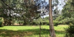 Foto de la Propiedad