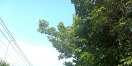 Foto de la Propiedad