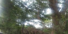 Foto de la Propiedad