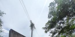 Foto de la Propiedad