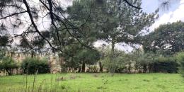 Foto de la Propiedad