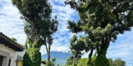 Foto de la Propiedad