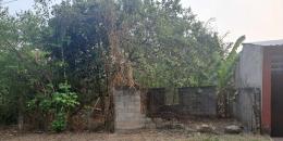 Foto de la Propiedad