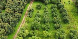 Foto de la Propiedad