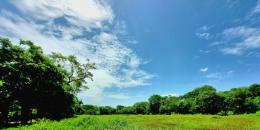 Foto de la Propiedad