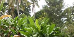 Foto de la Propiedad