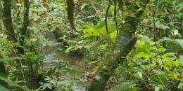 Foto de la Propiedad