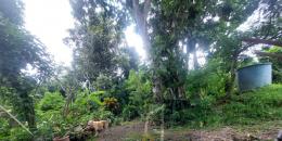 Foto de la Propiedad