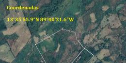 Foto de la Propiedad