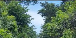 Foto de la Propiedad