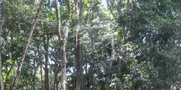 Foto de la Propiedad