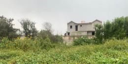 Foto de la Propiedad