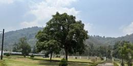 Foto de la Propiedad