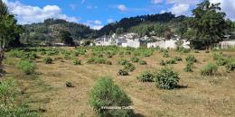 Foto de la Propiedad