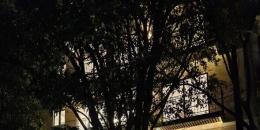 Foto de la Propiedad