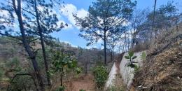 Foto de la Propiedad