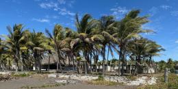 Foto de la Propiedad