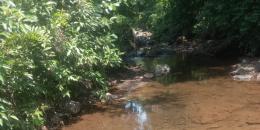 Foto de la Propiedad