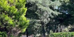 Foto de la Propiedad