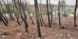 Foto de la Propiedad