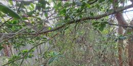 Foto de la Propiedad