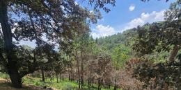 Foto de la Propiedad