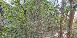 Foto de la Propiedad