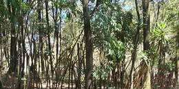 Foto de la Propiedad