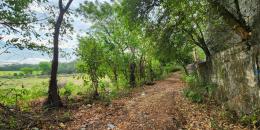 Foto de la Propiedad