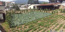 Foto de la Propiedad