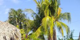 Foto de la Propiedad