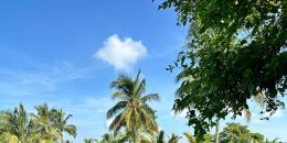 Foto de la Propiedad