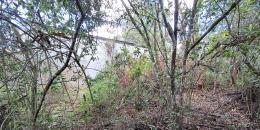 Foto de la Propiedad