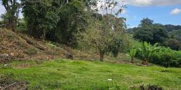 Foto de la Propiedad