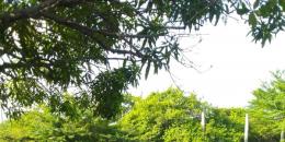 Foto de la Propiedad