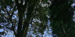 Foto de la Propiedad