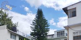 Foto de la Propiedad