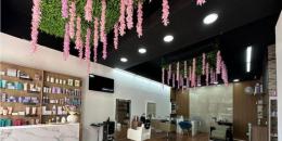 Foto de la Propiedad