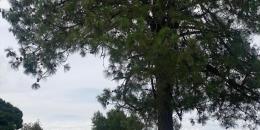 Foto de la Propiedad