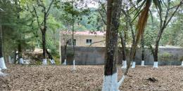 Foto de la Propiedad