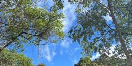 Foto de la Propiedad