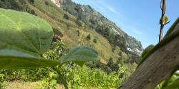 Foto de la Propiedad