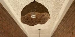 Foto de la Propiedad